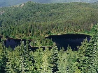 Looking down on Cast Lake from the Zig Zag Mountain Trail