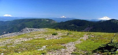 Mt. St. Helens, Mt. Rainier, and Mt. Adams as seen from the Indian Mountain Trail