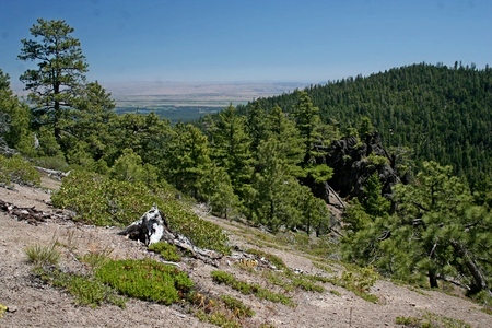 Looking southeast into the valley below Ball Point